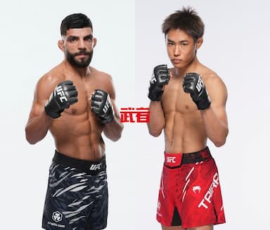 8月3日UFC：阿米尔·阿尔巴齐vs平良达郎