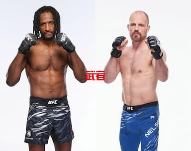UFC 318：尼尔·马格尼vs甘纳尔·尼尔森