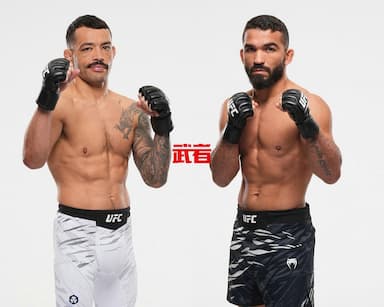 UFC 318：丹·伊盖vs帕特里西奥·弗莱雷