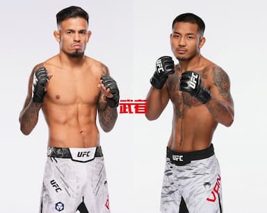 UFC 317：布兰登·罗伊瓦尔vs约书亚·范